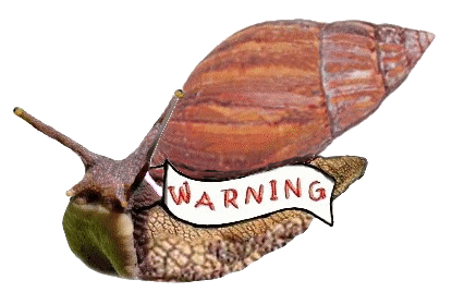 What is the lifespan of giant African land snails?